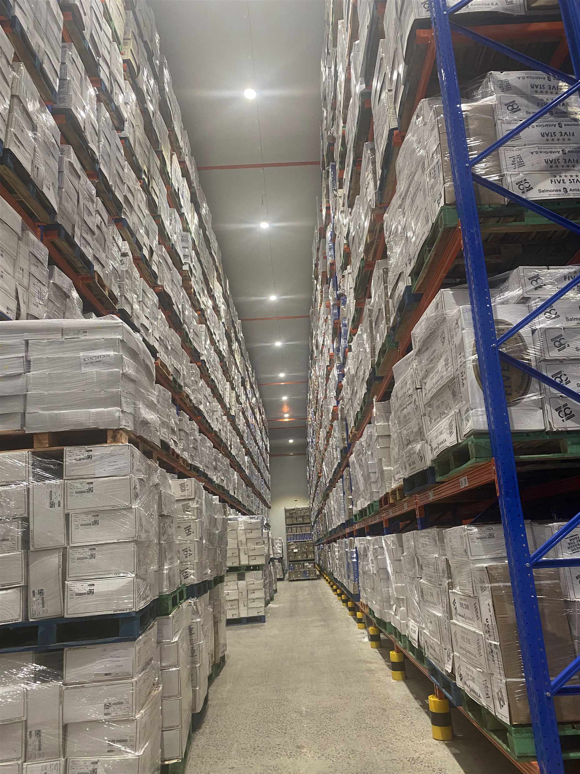 Kệ Drive In – Giải pháp lưu trữ pallet mật độ cao