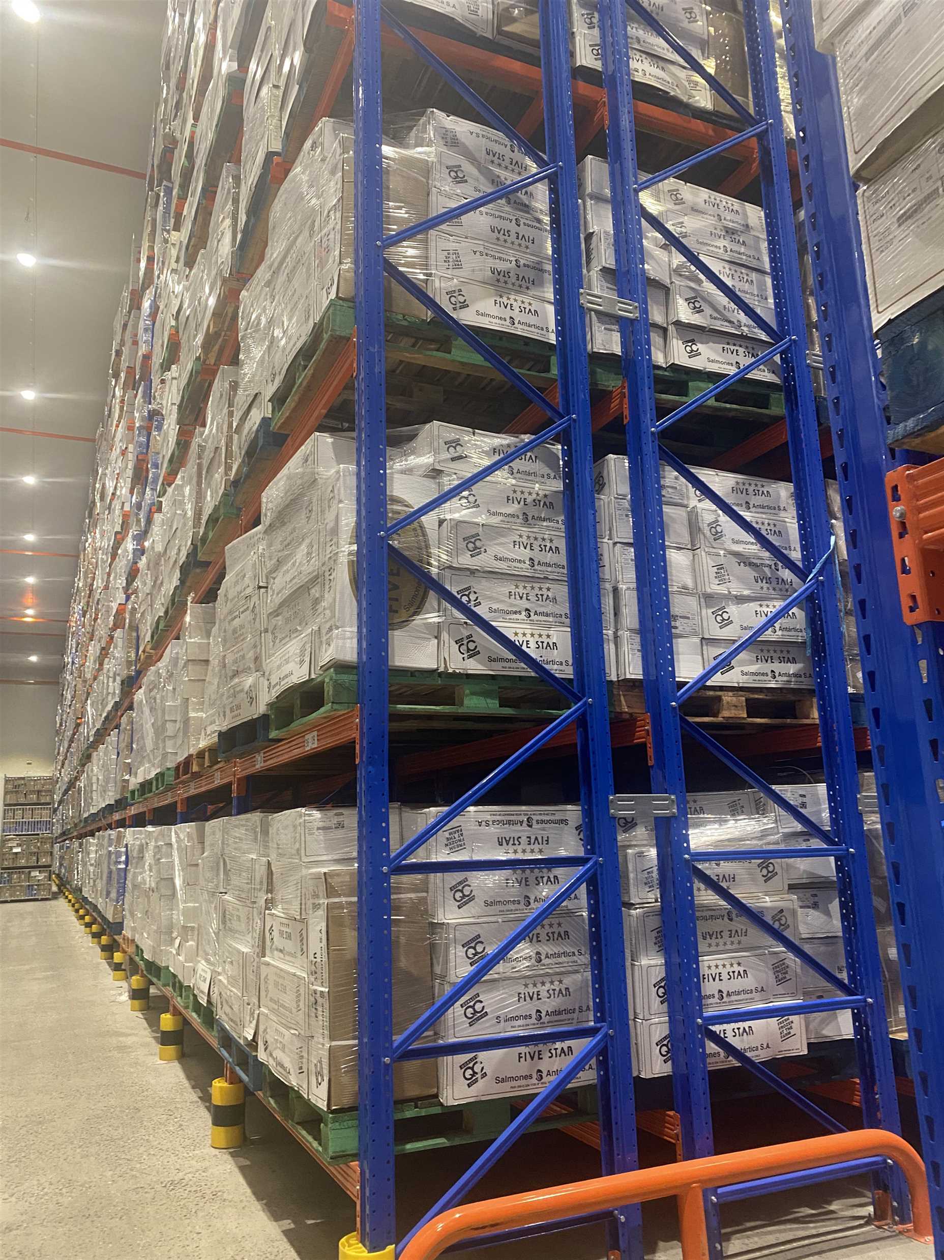 Kệ Drive In – Giải pháp lưu trữ pallet mật độ cao